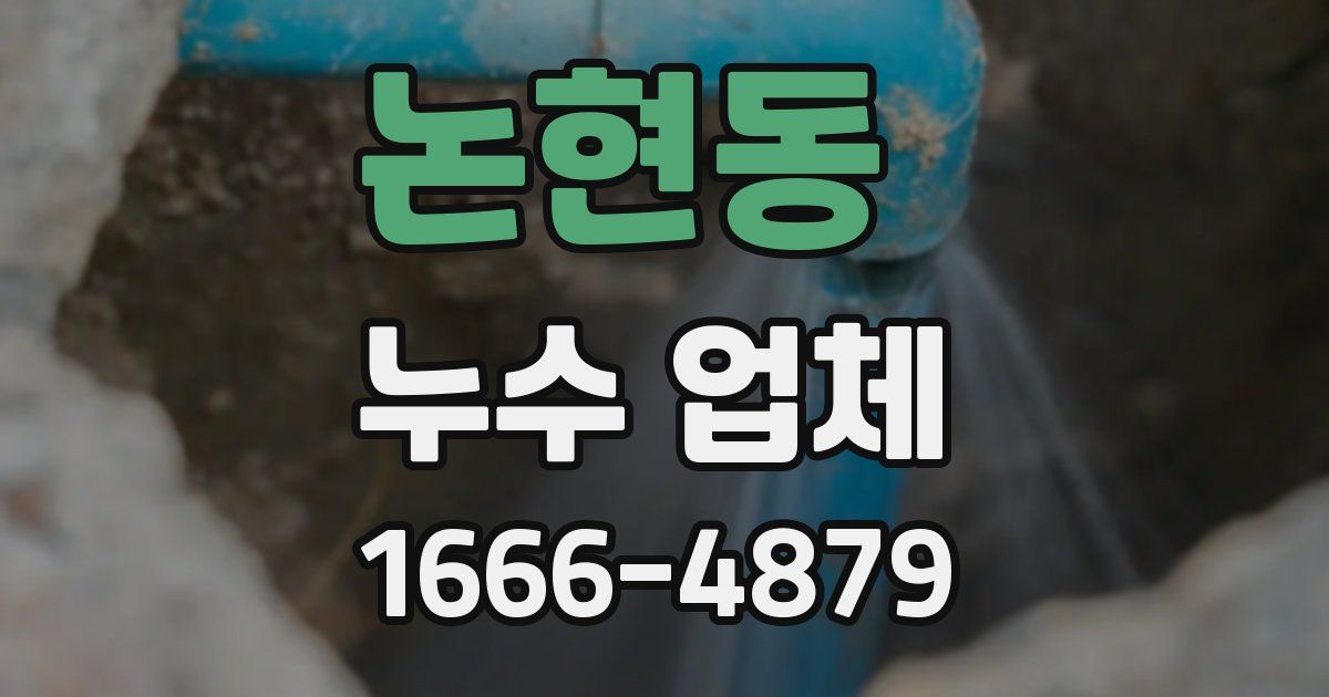 논현동 누수 업체