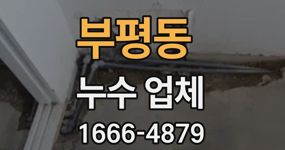 부평동 누수 업체