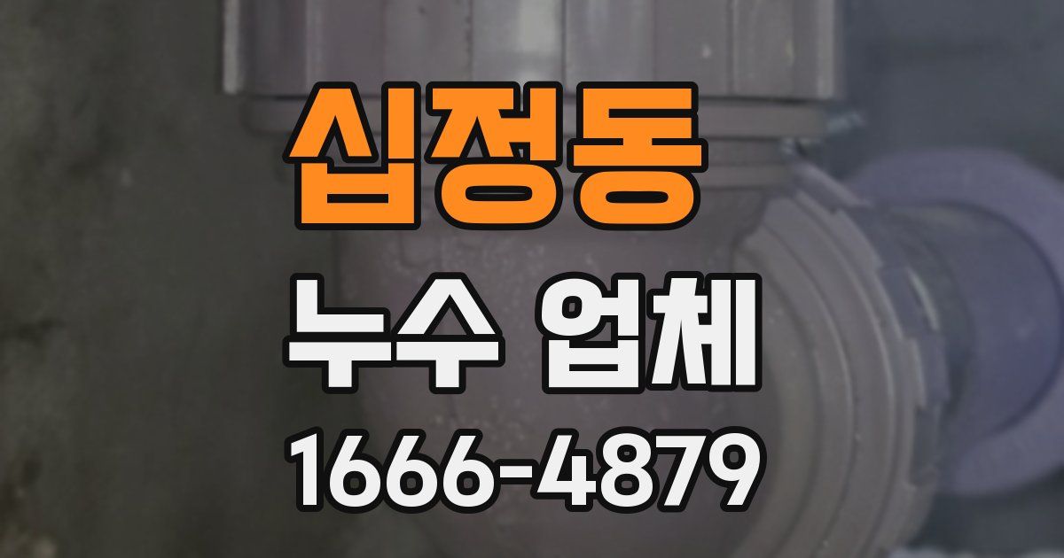 십정동 누수 업체