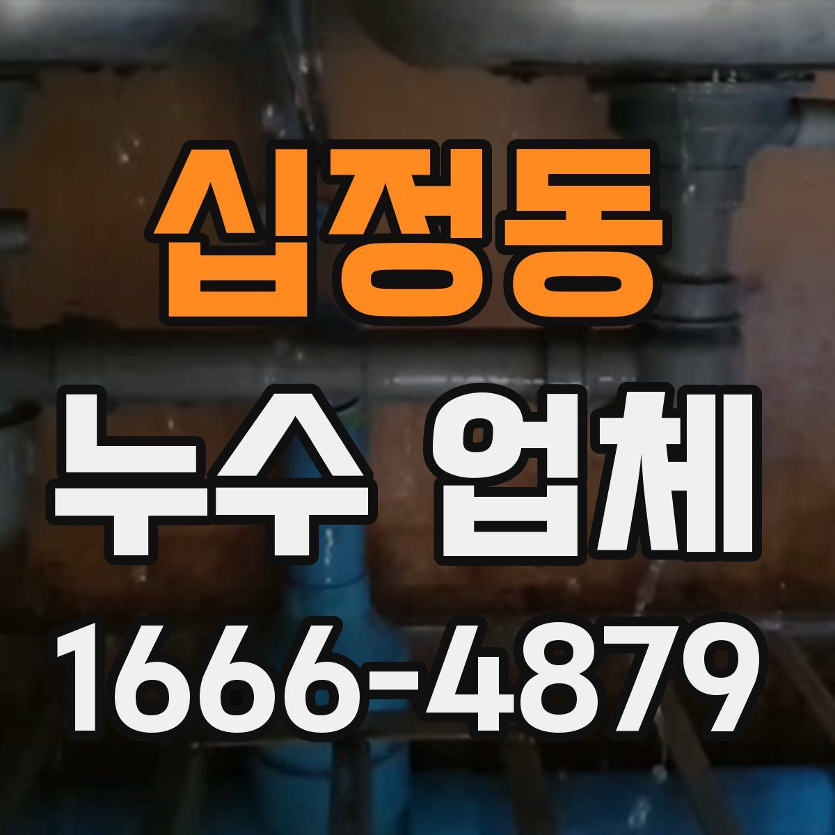 십정동 누수 업체