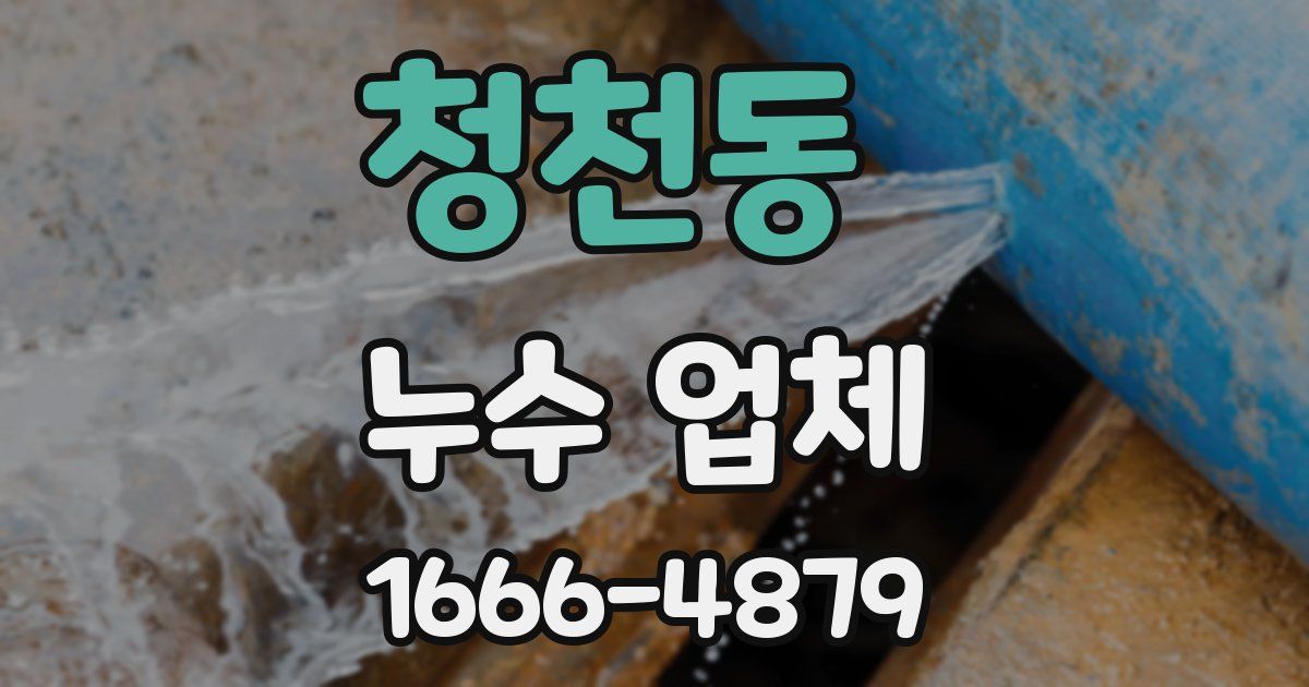 청천동 누수 업체