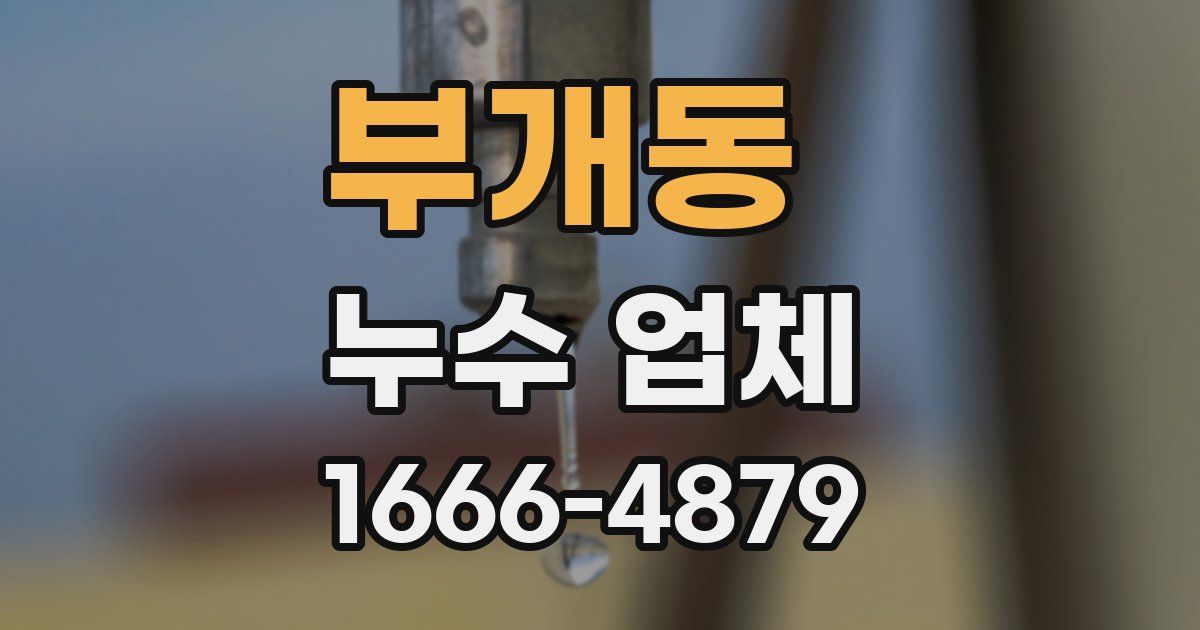 부개동 누수 업체