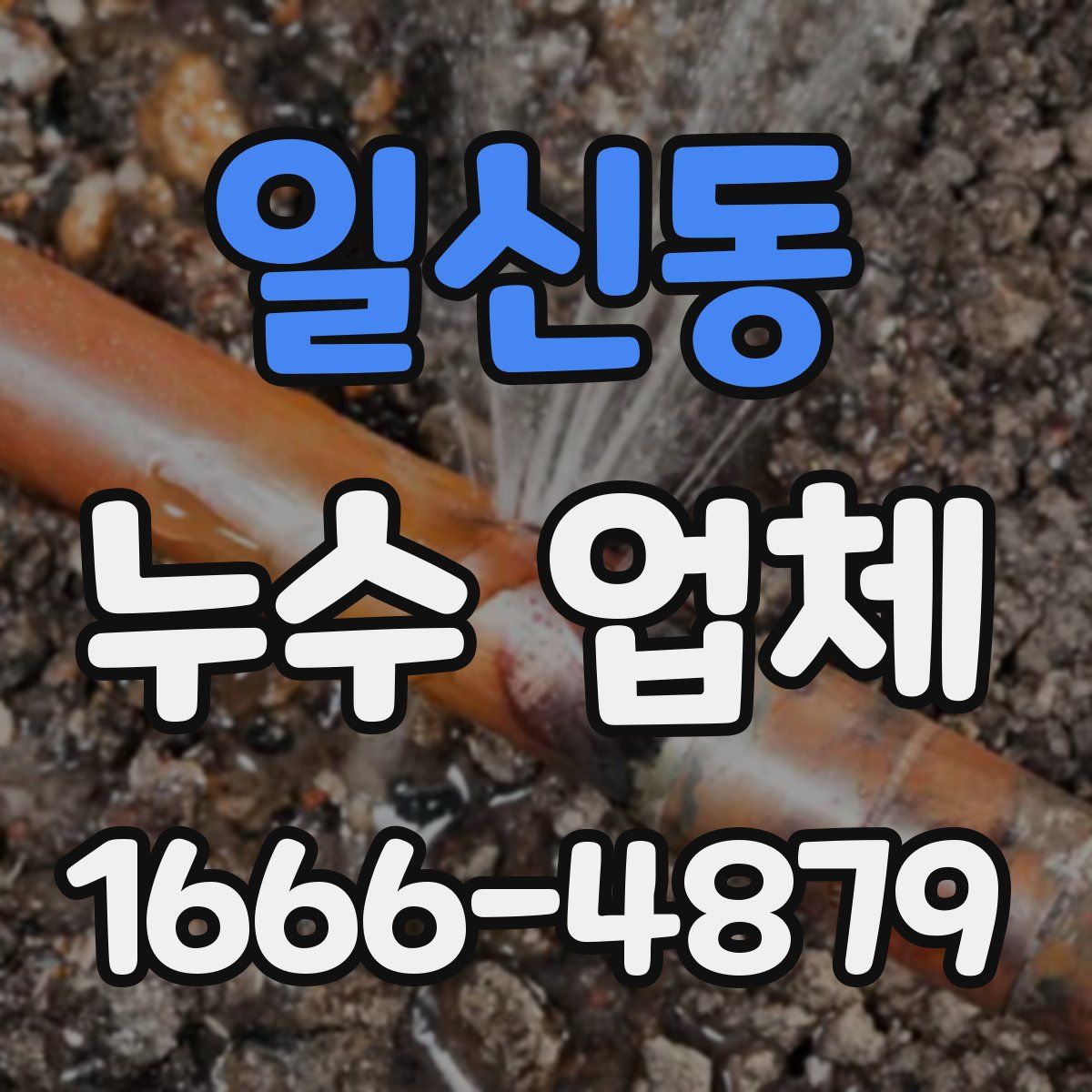일신동 누수 업체