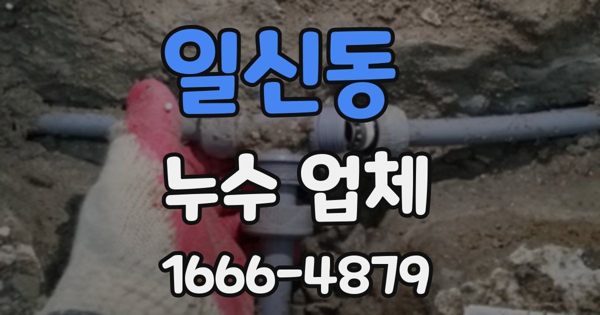 일신동 누수 업체