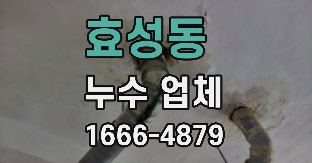 효성동 누수 업체