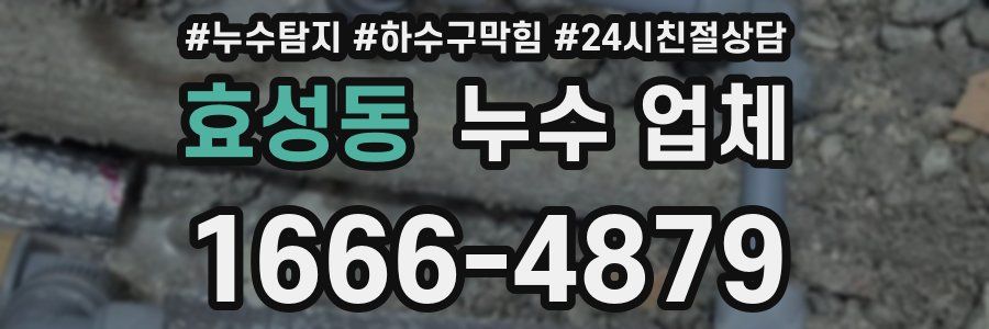 효성동 누수 업체
