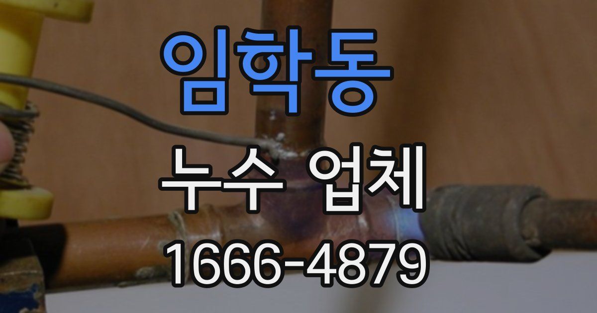 임학동 누수 업체