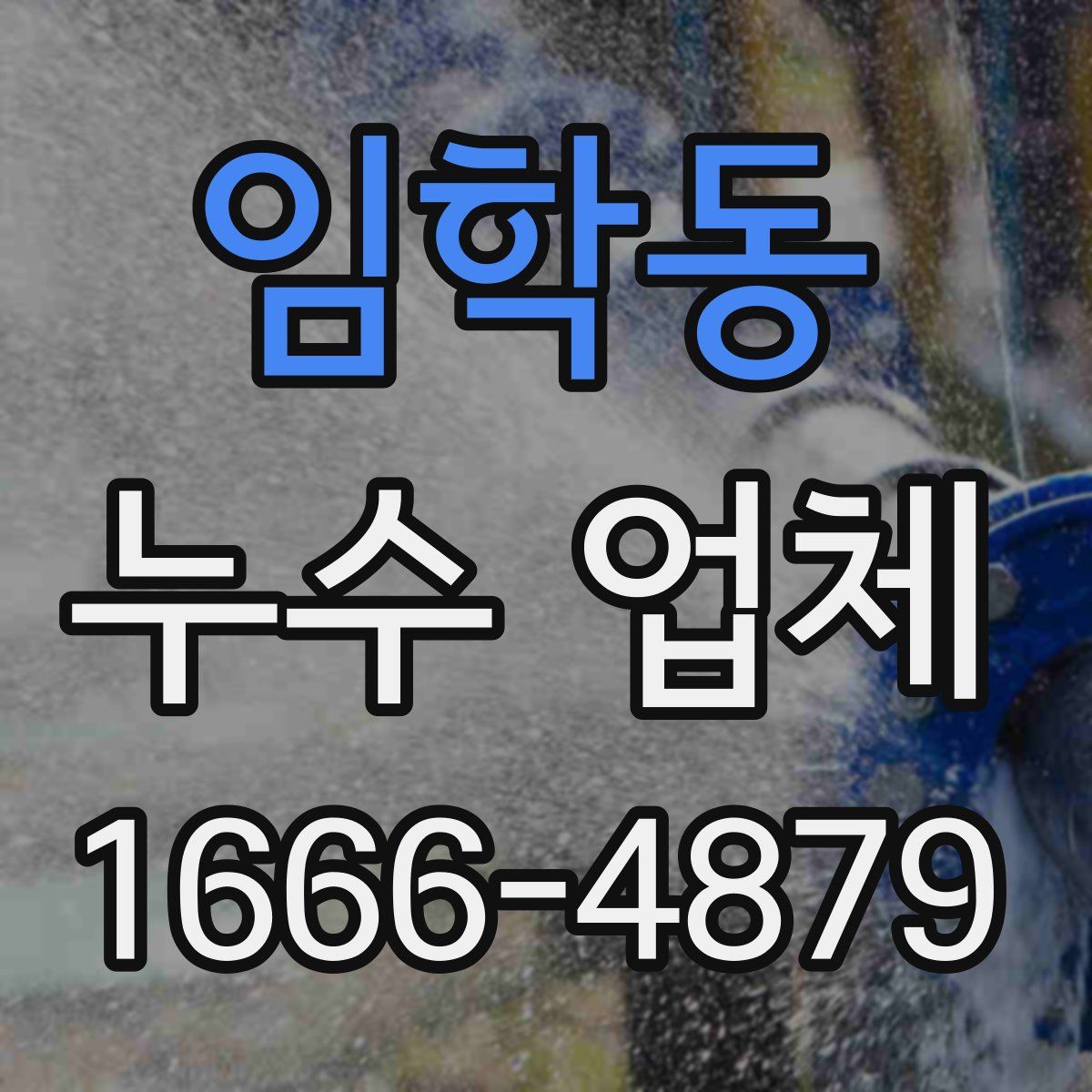 임학동 누수 업체
