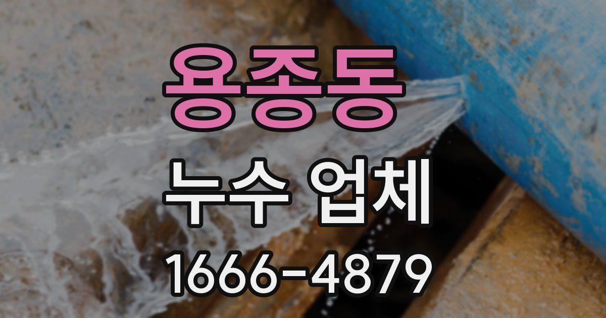 용종동 누수 업체