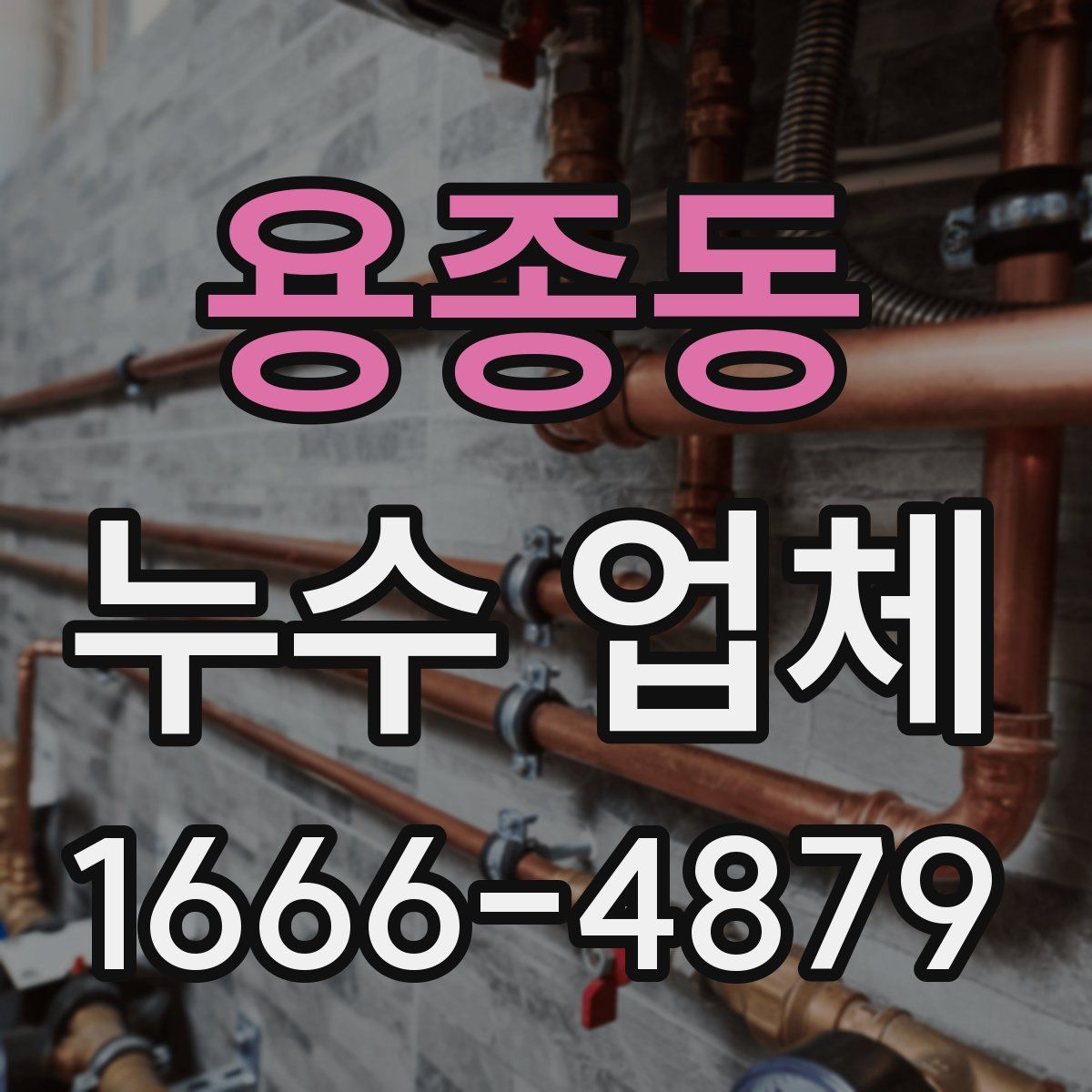 용종동 누수 업체