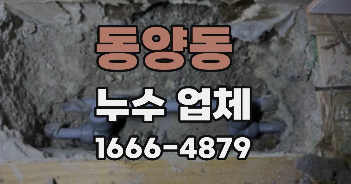 동양동 누수 업체
