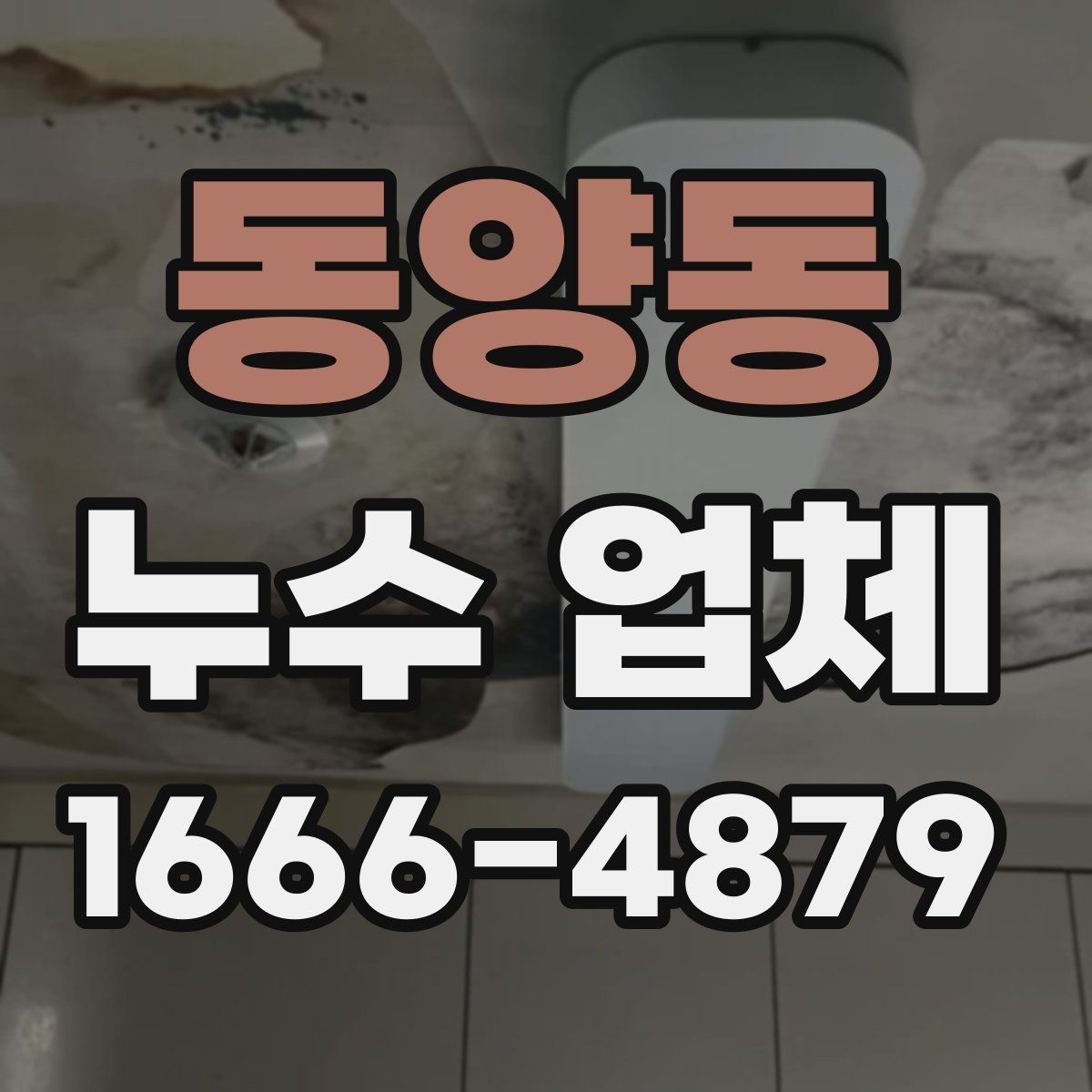 동양동 누수 업체
