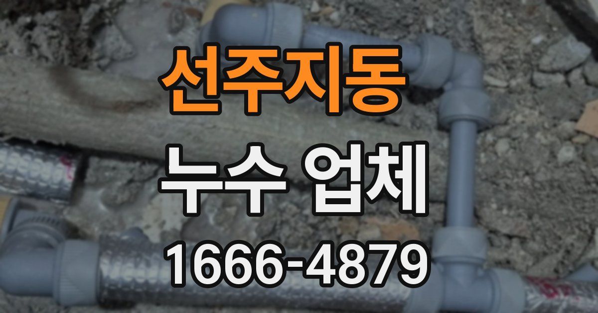 선주지동 누수 업체