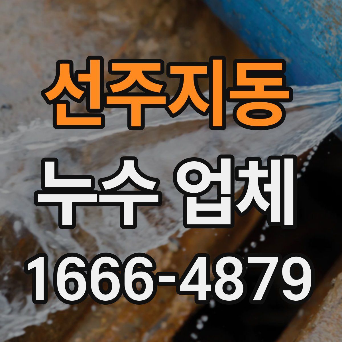 선주지동 누수 업체