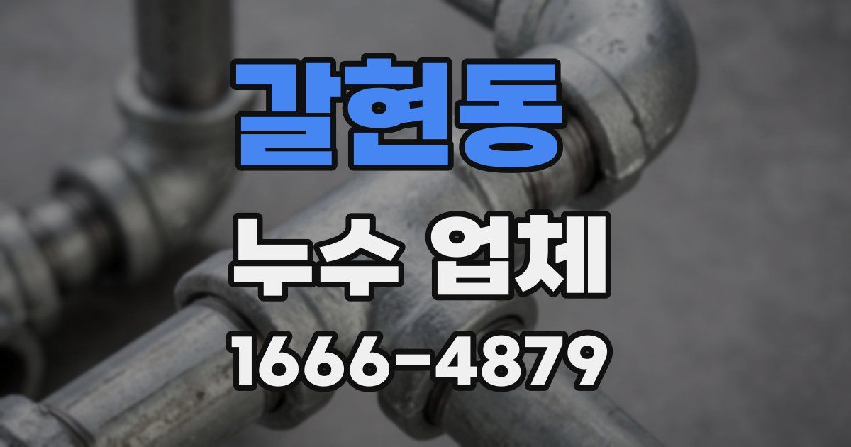 갈현동 누수 업체