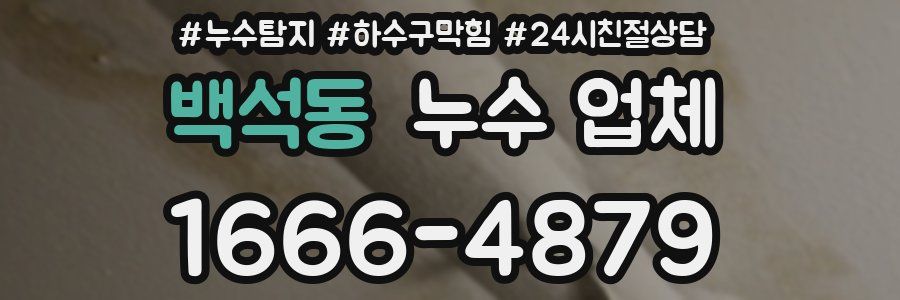 백석동 누수 업체