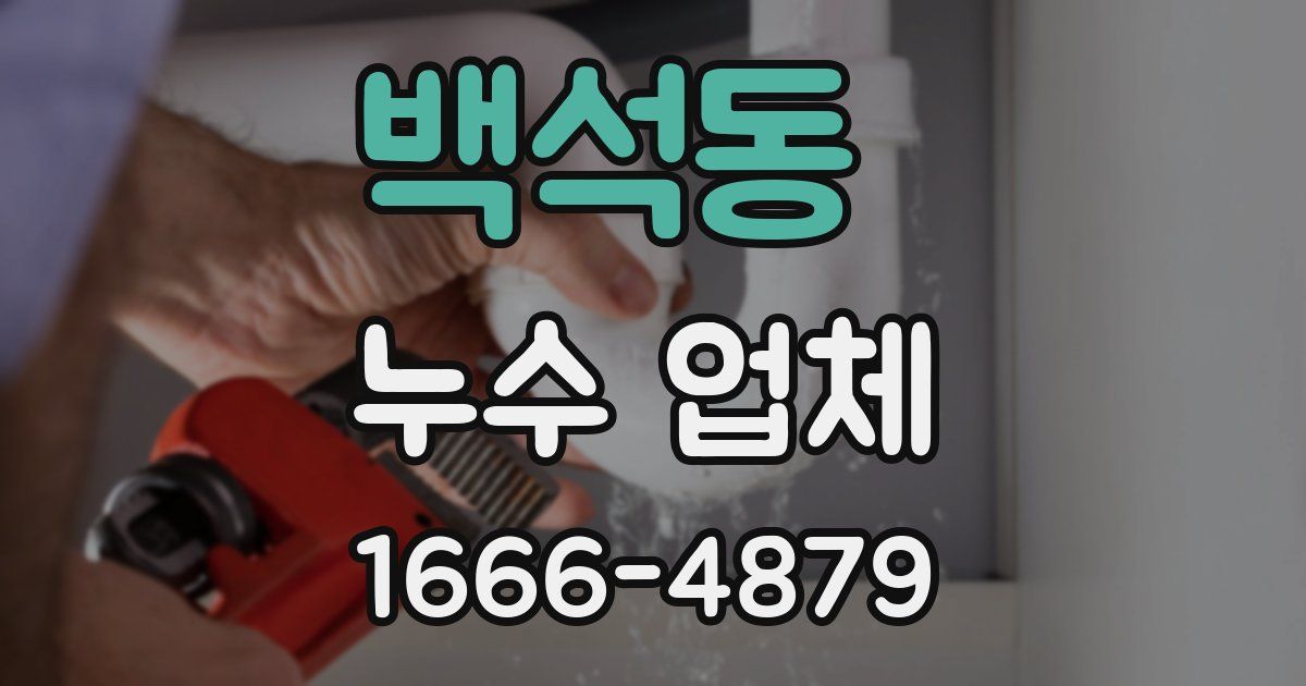 백석동 누수 업체