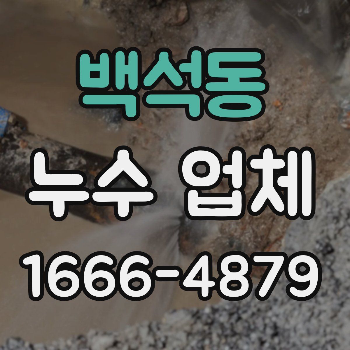 백석동 누수 업체