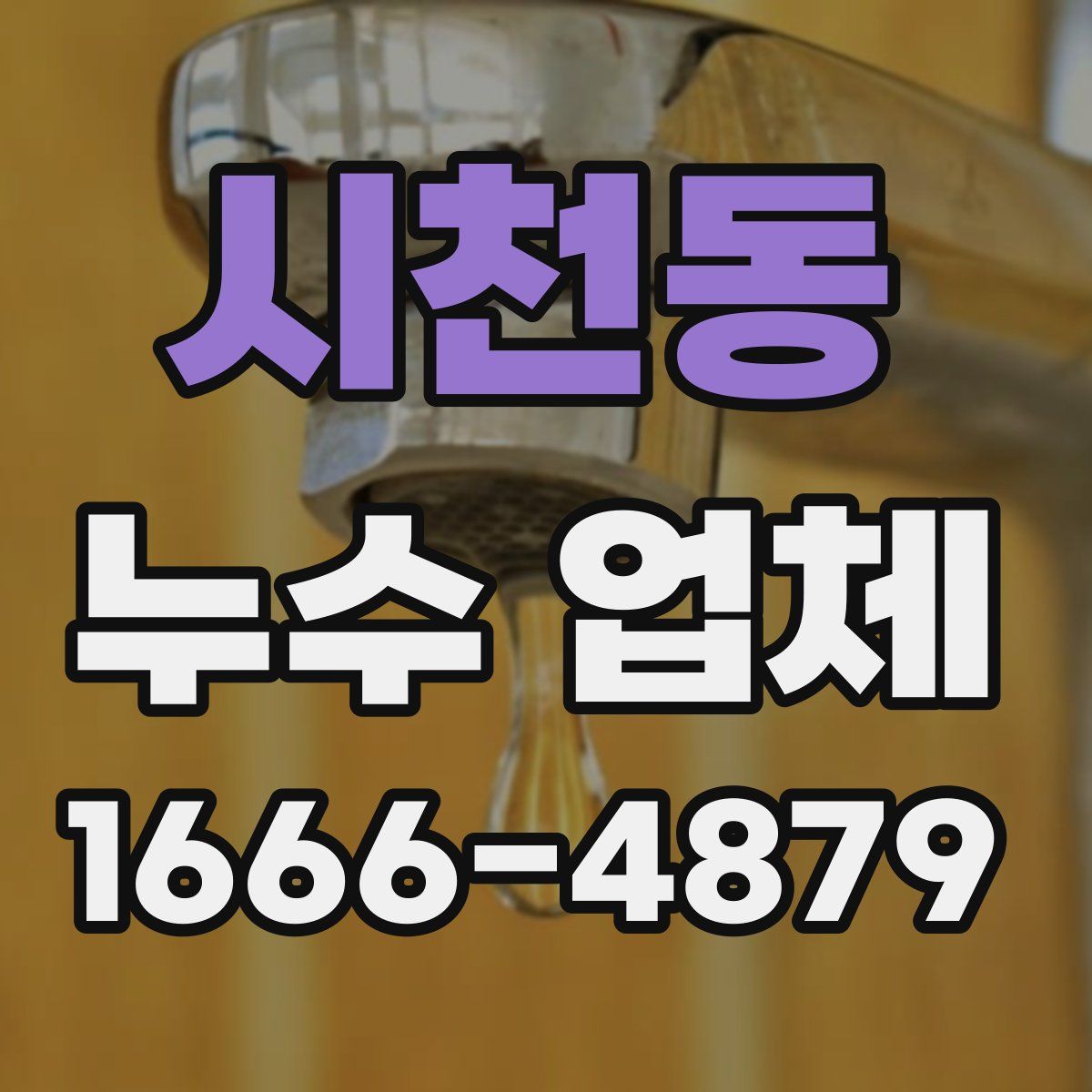 시천동 누수 업체