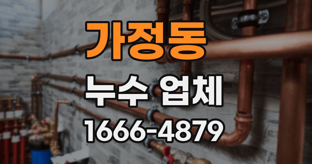 가정동 누수 업체