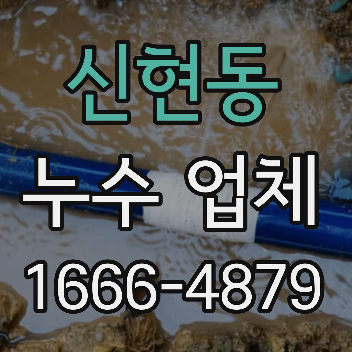 신현동 누수 업체