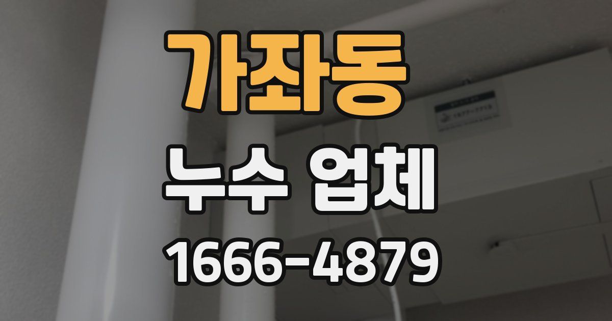가좌동 누수 업체