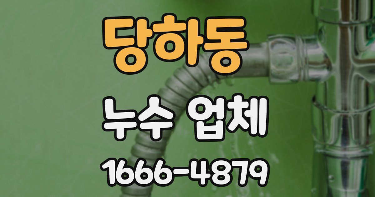 당하동 누수 업체