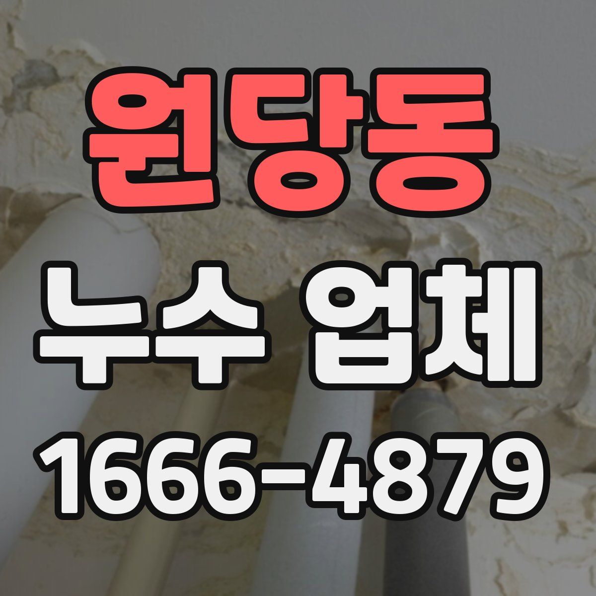 원당동 누수 업체