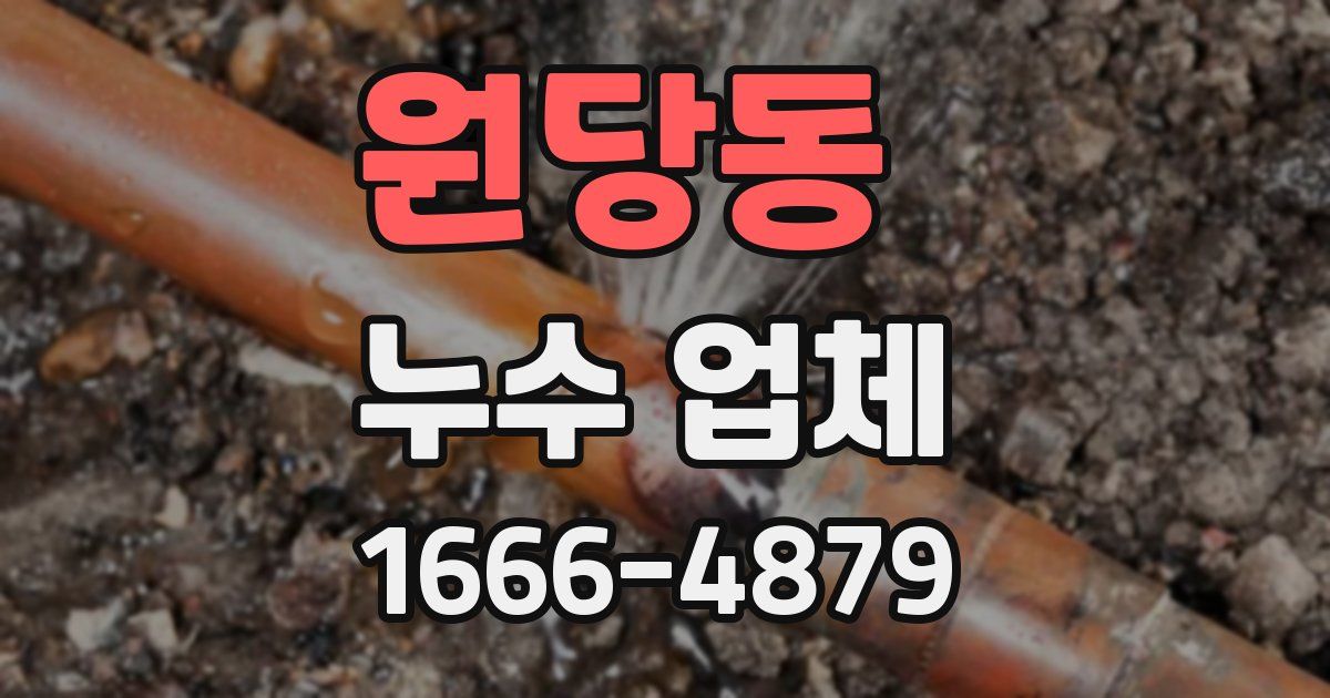 원당동 누수 업체
