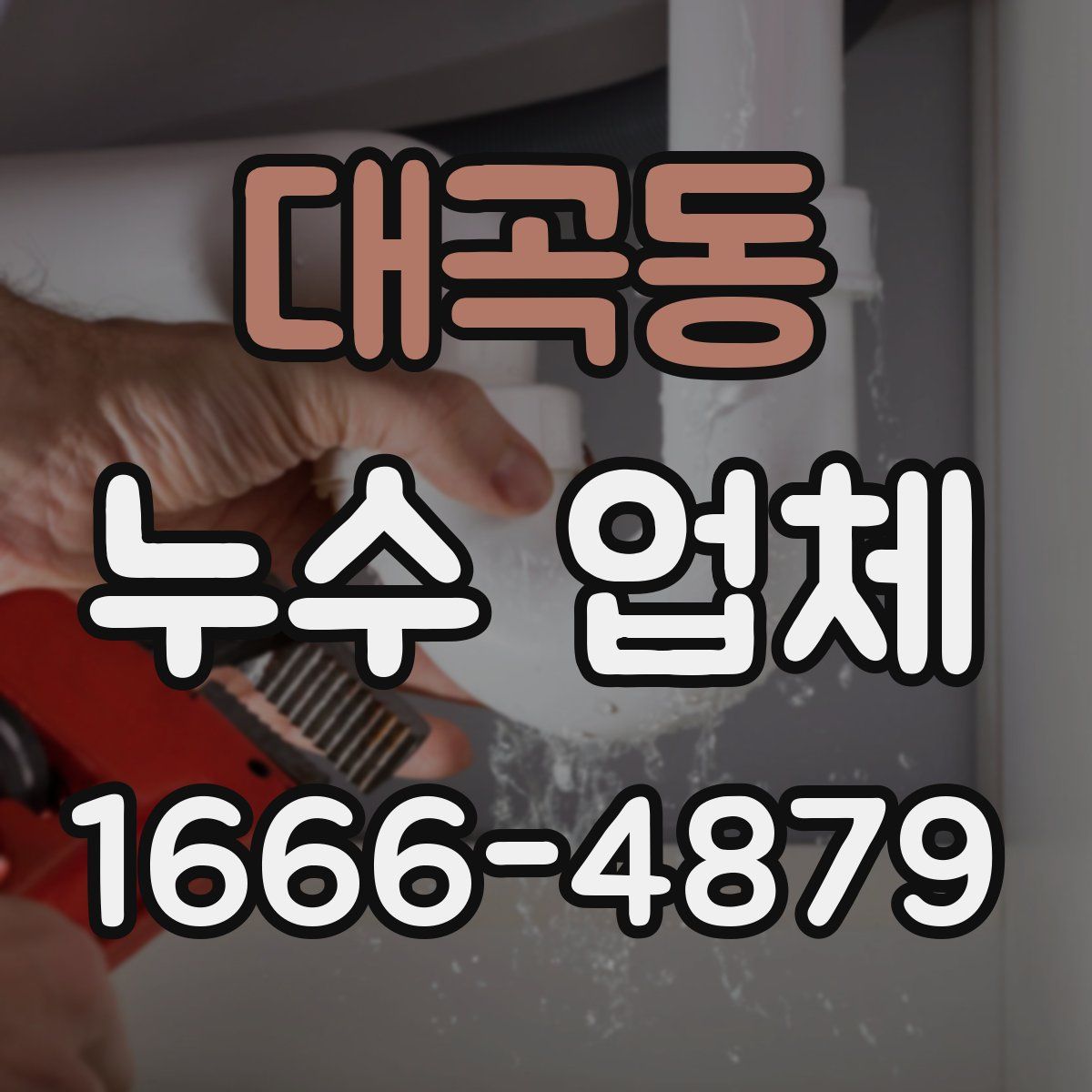 대곡동 누수 업체