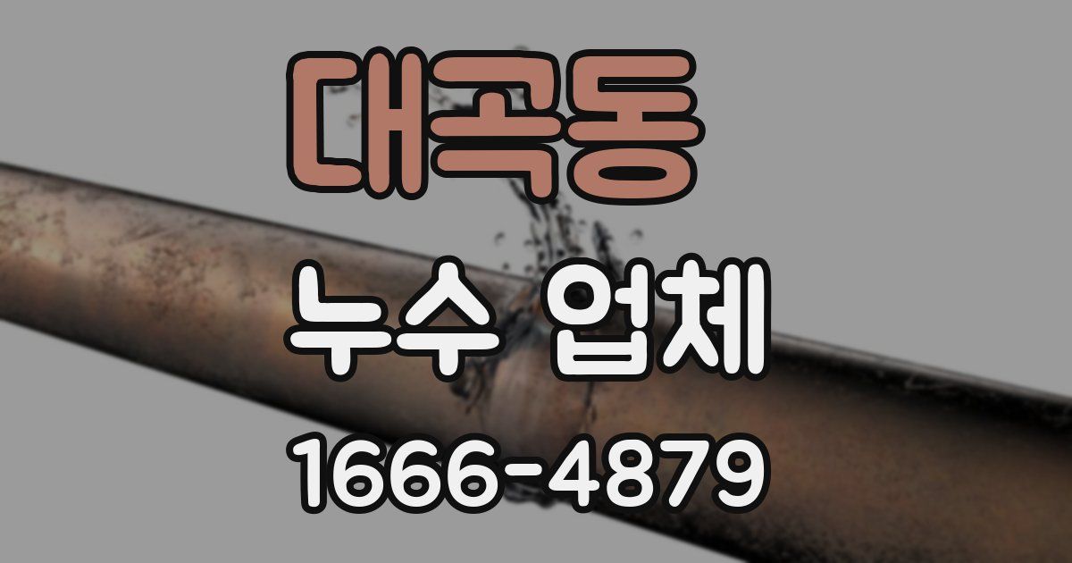 대곡동 누수 업체