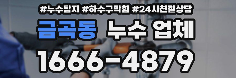 금곡동 누수 업체