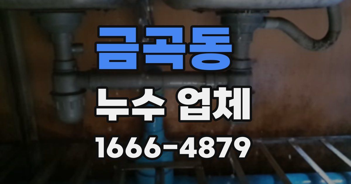 금곡동 누수 업체