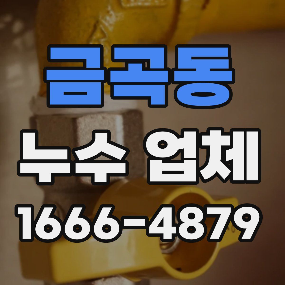 금곡동 누수 업체