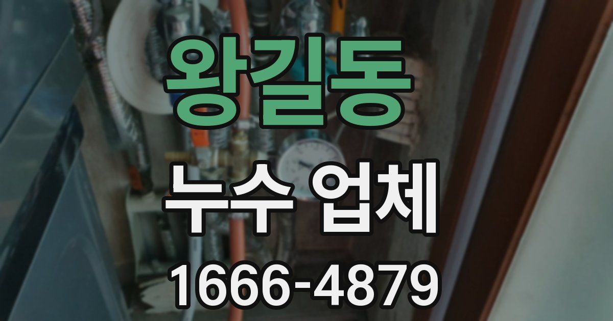 왕길동 누수 업체