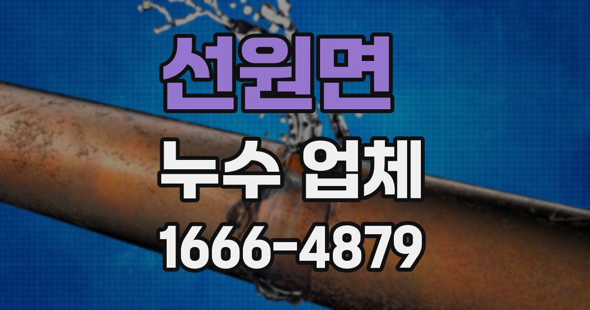 선원면 누수 업체