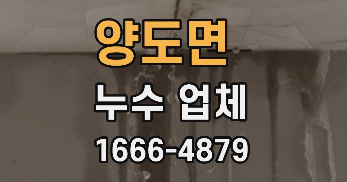 양도면 누수 업체