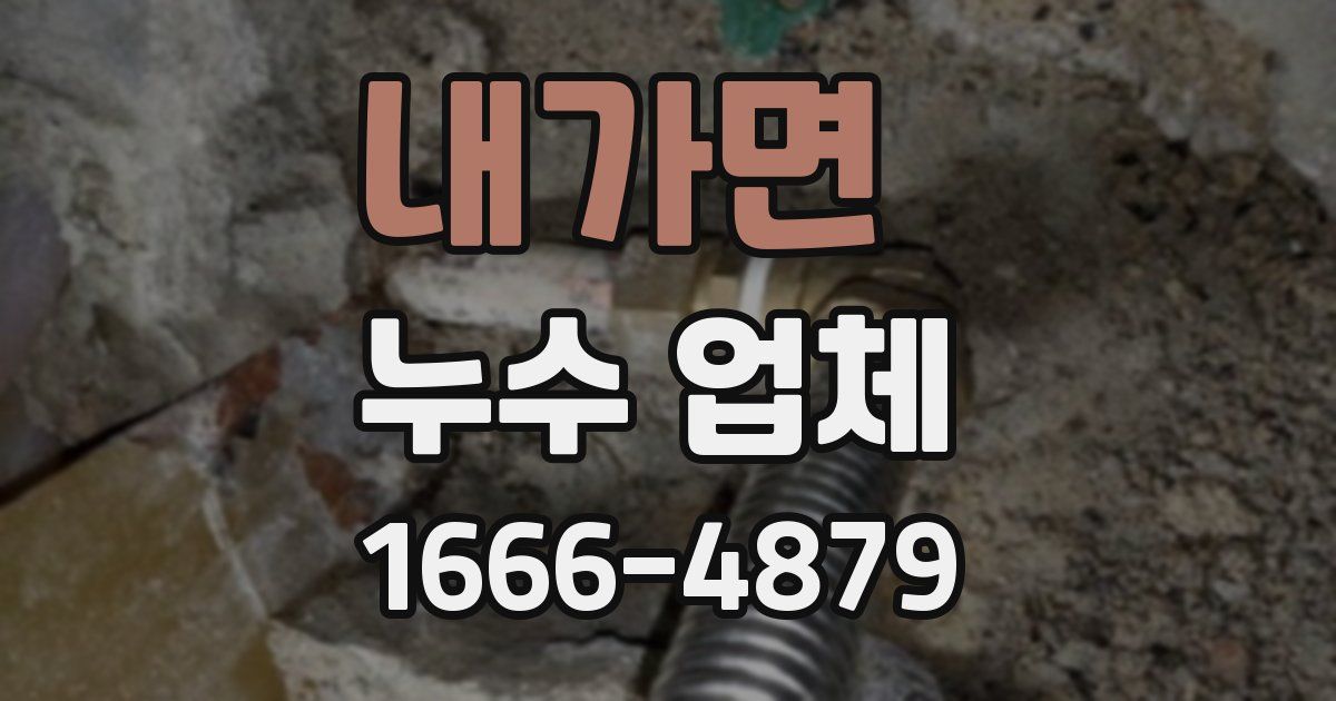 내가면 누수 업체