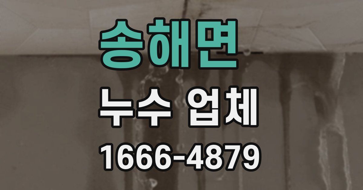 송해면 누수 업체