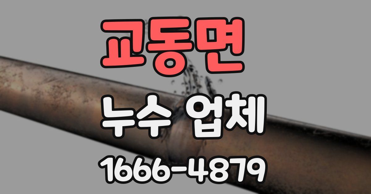 교동면 누수 업체