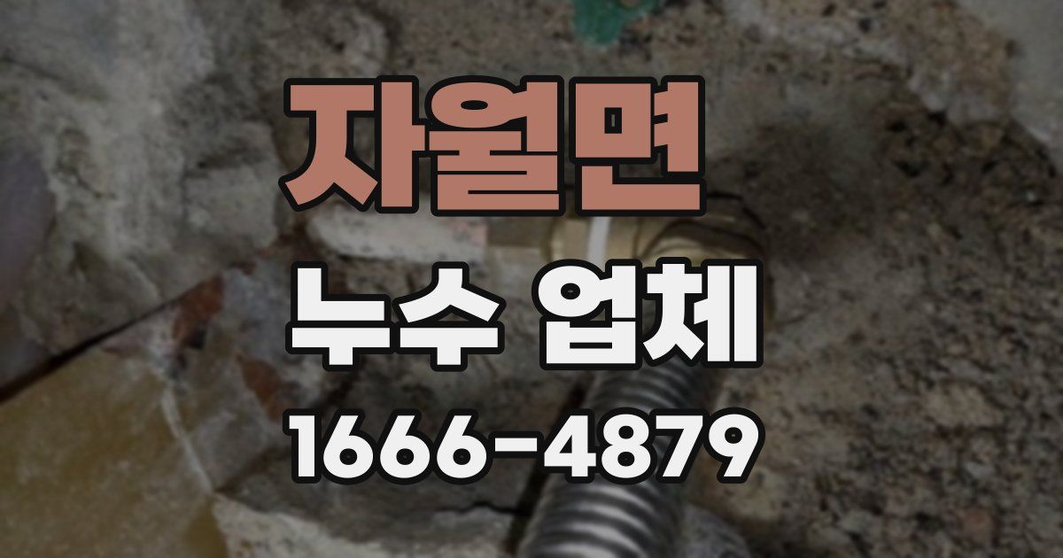 자월면 누수 업체