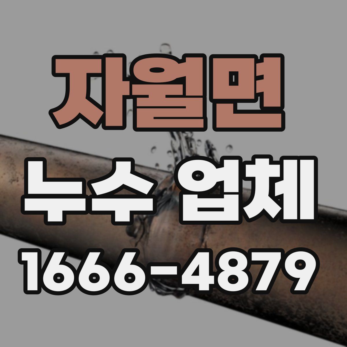 자월면 누수 업체