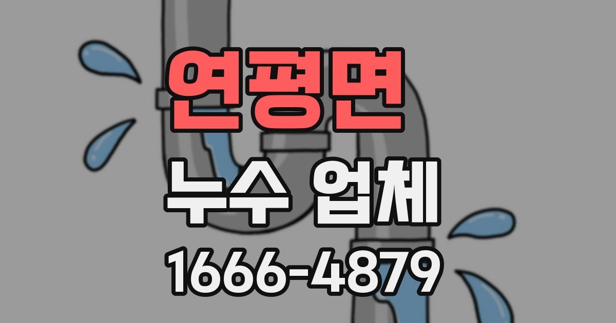 연평면 누수 업체