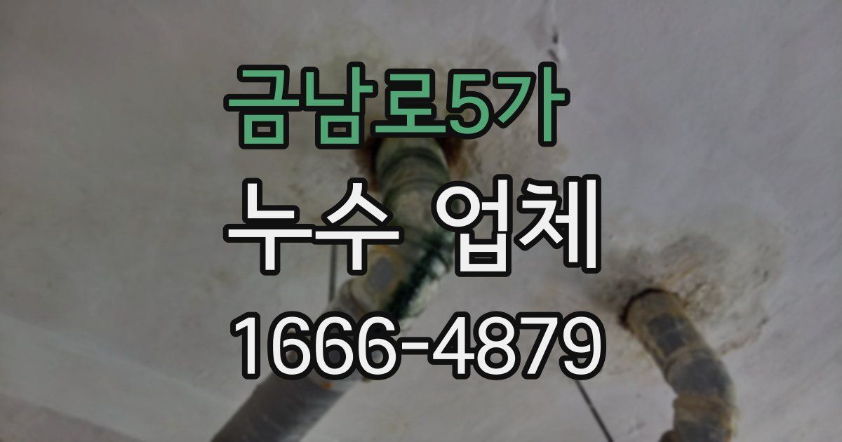 금남로5가 누수 업체