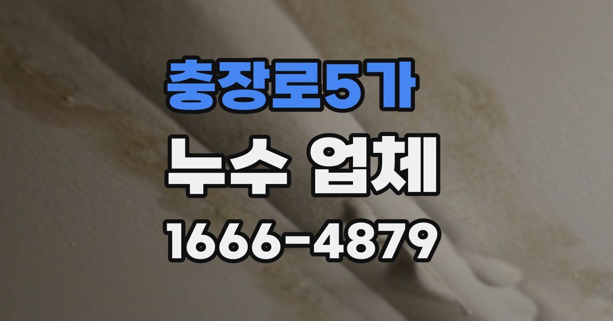 충장로5가 누수 업체