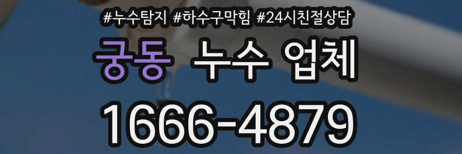 궁동 누수 업체