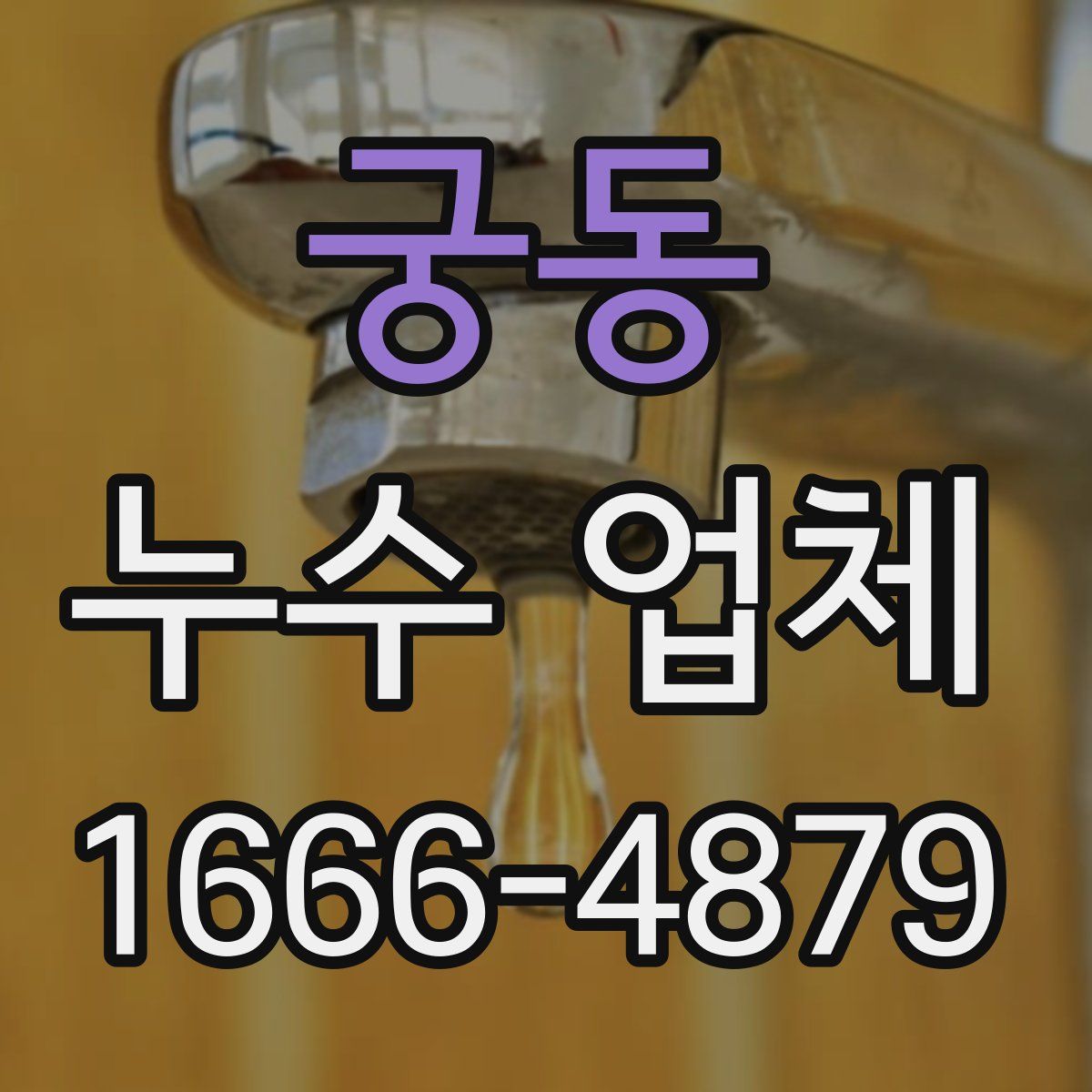궁동 누수 업체