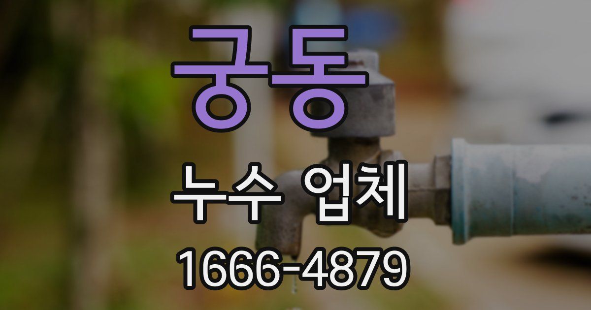 궁동 누수 업체