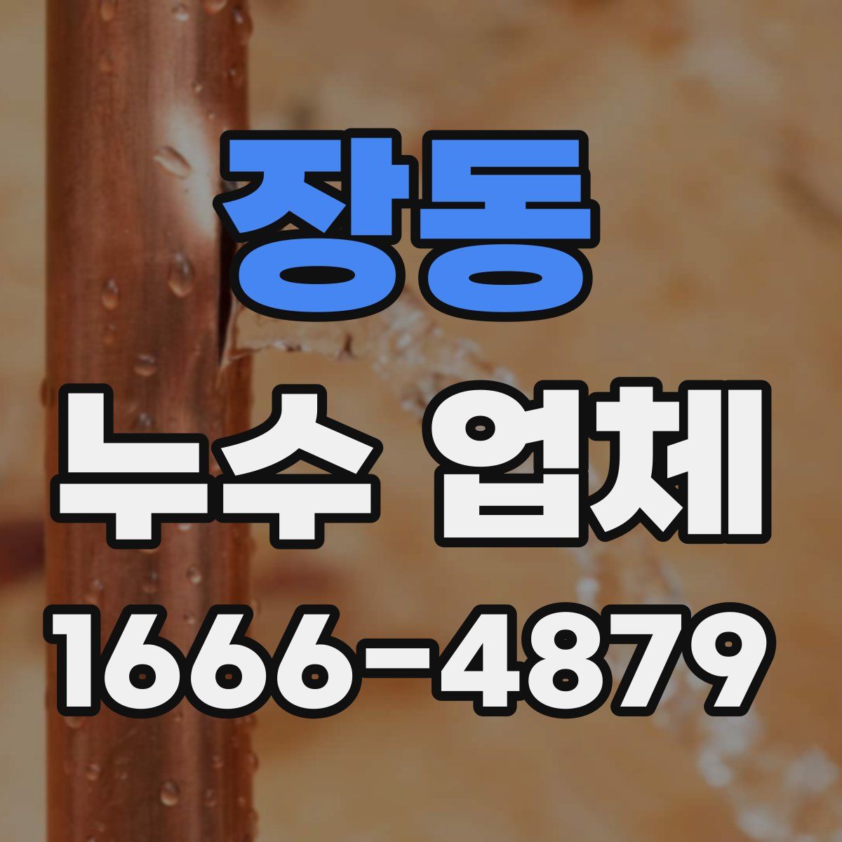 장동 누수 업체