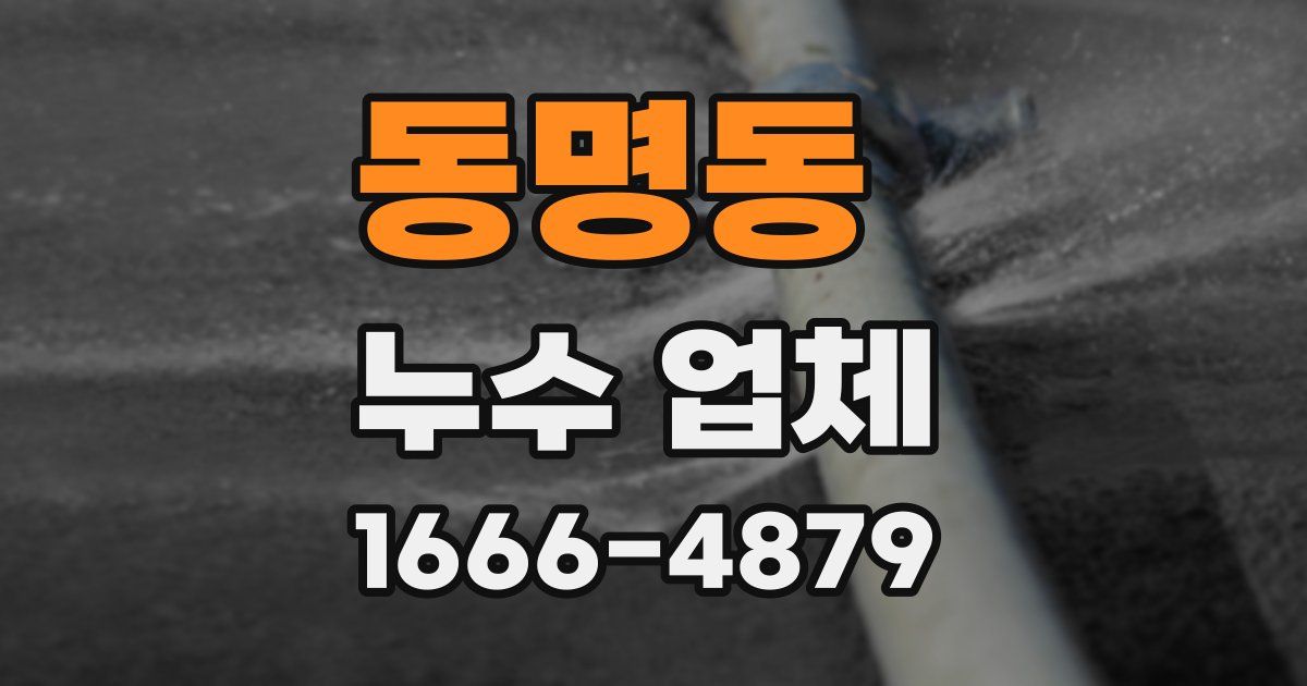 동명동 누수 업체